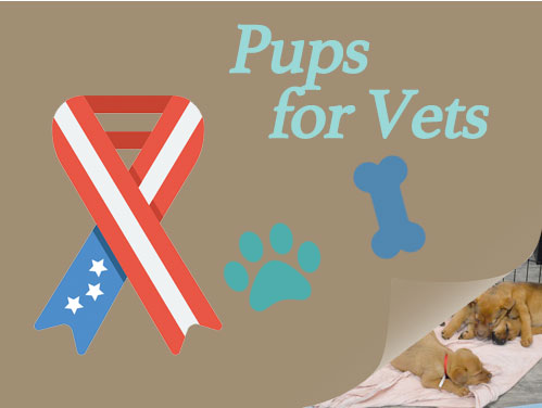 Pups for Vets